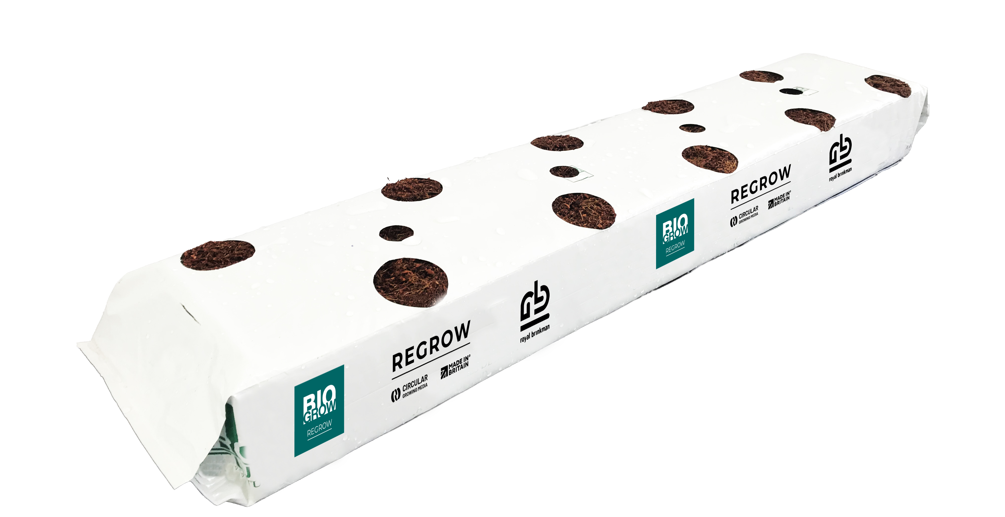 REGROW coir growbag